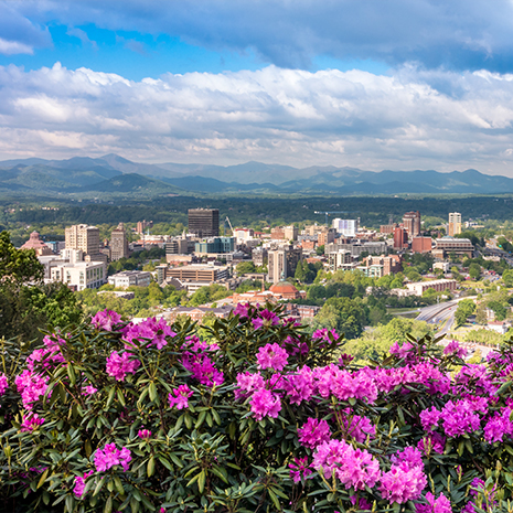 City of Asheville, WNC