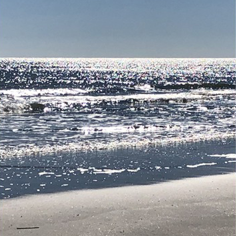 Folly Beach Island, SC